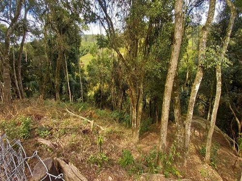Imagem 14 de 15 de Cod - 5760 - Chácara De 1600m² Na Divisa De Ibiúna Com Pieda - 5760