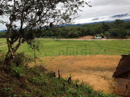 Linda Chácara Em Garuva 80.000m2 Fácil Acesso Para Br 101 Estuda Permuta - Sa00649 - 33844836
