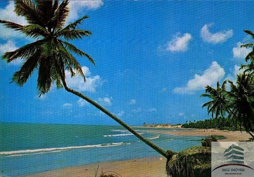 Terreno A Venda Na Praia De Porto Mirim, Muriú