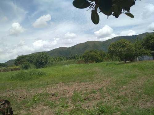 Luis Vasco  Ofrece  En  Venta  Terreno  (agricola-empresarial) Ubicado En El  Sector  Valles De Mozanga  (asentamiento Campesino). Municipio De San Diego,   Estado Carabobo 