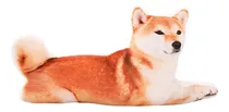 Comprar Cojín Con Forma De Perro Shiba Inu 3d De Mozacona, Cojín Con