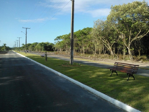 Imagem 2 de 25 de Terreno No Praia Do Ervino Com 0 Quartos Para Venda, 600 M² - Ft713