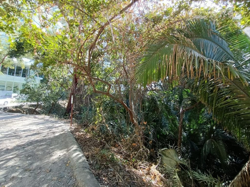 Imagen 7 de 9 de Terreno - Amapas
