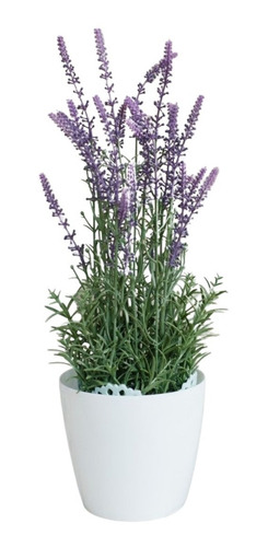 Imagem 4 de 4 de Sementes De Lavanda Verdadeira/alfazema