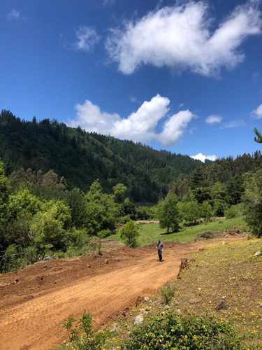 Oportunidad De Inversión Sector El Risco, Pelluhue, El Maule