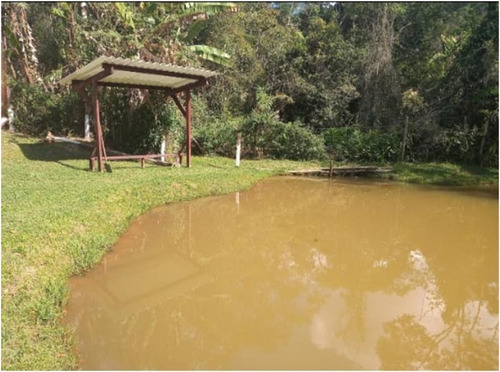 Imagem 2 de 14 de Excelente Chácara Com Piscina E Lago Cod: 4461