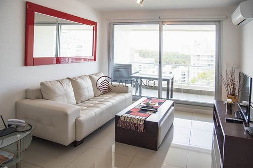Imagen 4 de 18 de Torre Wild Punta Del Este - Punta Del Este Brava