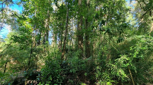 Parcela En Venta Lomas Del Mirador Puerto Varas