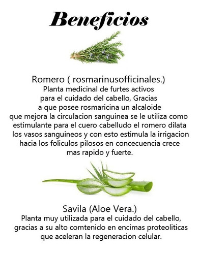 Shampoo 100% Natural Anti-caida Dama Caballero Fortificante