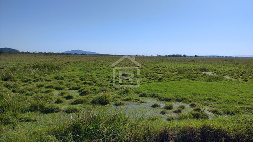 Imagem 4 de 30 de Fazenda Localizada Em Iguape- Sp Com 280 Alqueires - 262 - 71153412