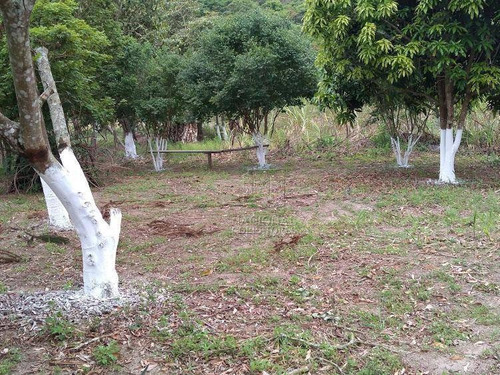 Imagem 8 de 19 de Chácara Com 4 Dormitórios À Venda, 20000 M² Por R$ 456.000,00 - Campo Alegre Iv - Bofete/sp - Ch0021