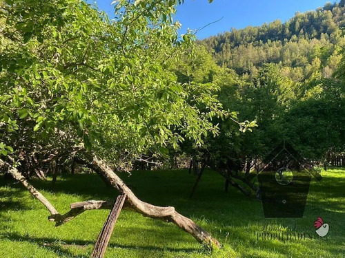 Parcela Con Casa E Instalaciones, 1 Hectarea