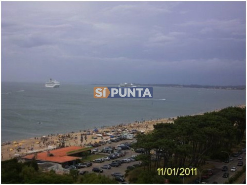 Imagen 15 de 15 de Apartamento En Alquiler