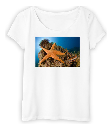 Remera Mujer Estrella De Mar En La Punta En Piedra