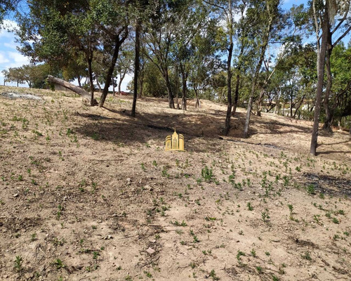 Imagem 2 de 30 de Terreno No Bairro Cidade Jardim - Esmeraldas - Te00295 - 68404585