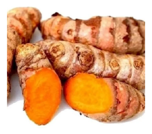 Açafrão/ Curcuma, Raiz Fresca, Para Plantar Ou Fazer Pó 3kg