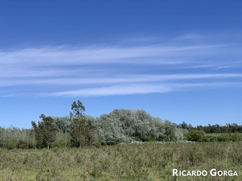 Venta Chacra Terreno Campo Canelones Villa Guadalupe Ruta 5