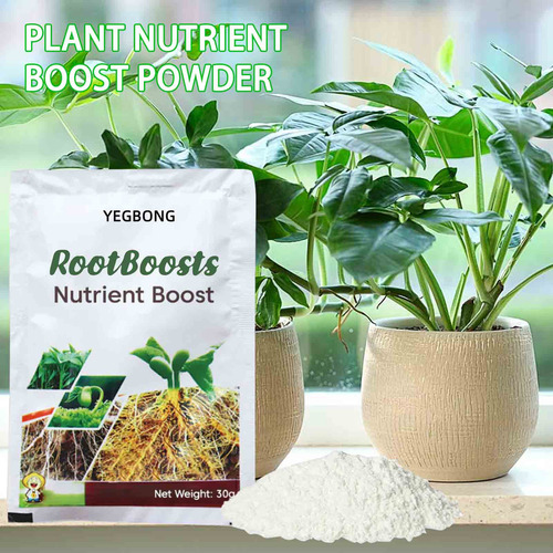 Polvo Fuerte Líquido De Enraizamiento Rápido Para Plantas Un