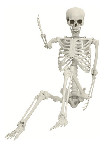 ( Decoración De Esqueleto De Halloween, Diseño De Esqueleto