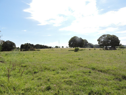 Imagen 6 de 8 de Chacra En Venta En La Zona De Mas Desarrollo De San Pedro