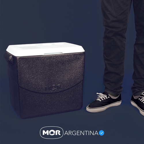 Conservadora Heladerita Glacial Portátil Playa 40 L Mor Ct Color Azul