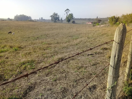 Imagem 6 de 8 de Chácara De 20.000 M2 Plana