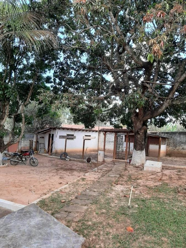 Imagem 12 de 15 de Sítio Para Venda Em Couto De Magalhães De Minas, 5 Dormitórios, 2 Banheiros - S10_1-1837450