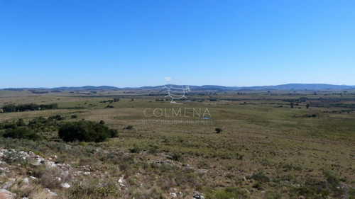 Imagen 11 de 17 de Campo Cerca Ruta 39 En Las Cañas - San Carlos