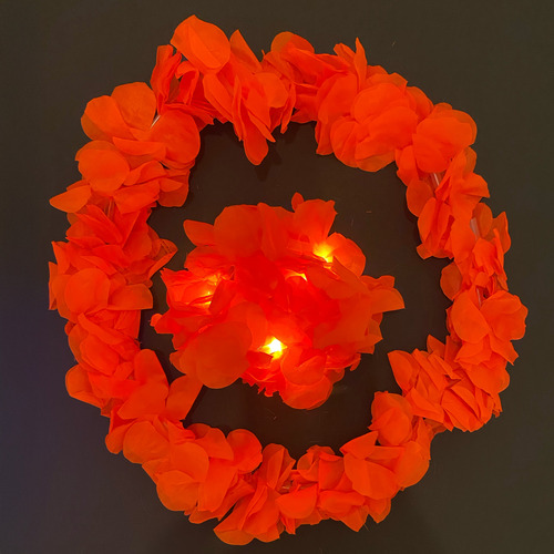 Collar Y Boa Led Argenparty Para Cotillón Fiesta Naranja
