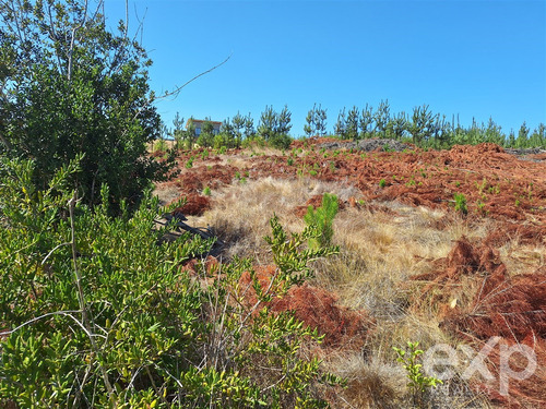 Sitio Vista Amplia En Venta En Pichilemu