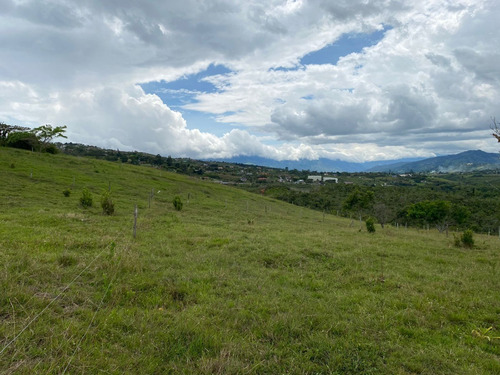 Imagen 7 de 14 de Lote De Terreno