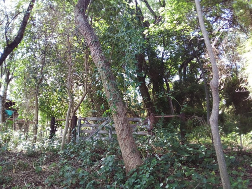 Imagen 12 de 15 de Vendo Pequeño Bosque Sobre El Río Corriente En La Ciudad De Esquina!!!!