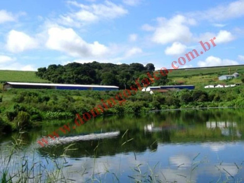 Imagem 4 de 13 de Venda - Fazenda - Zona Rural - Pouso Alegre - Mg - D0314