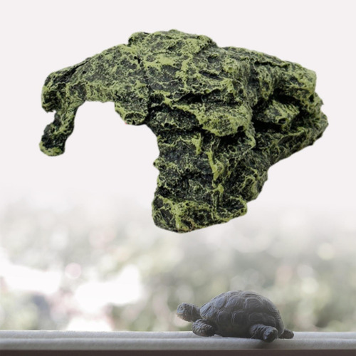 Para Tomar El Para Tortugas, Terraza De Para Tortugas,