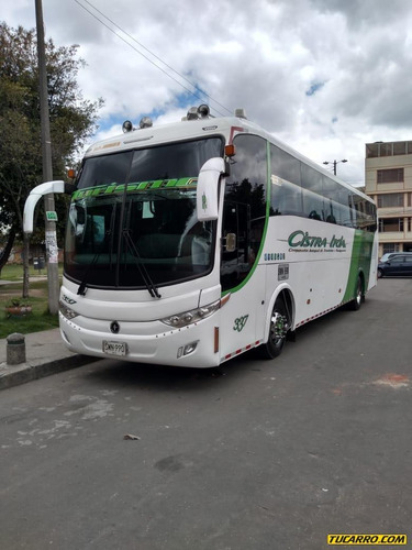 Buses Buses