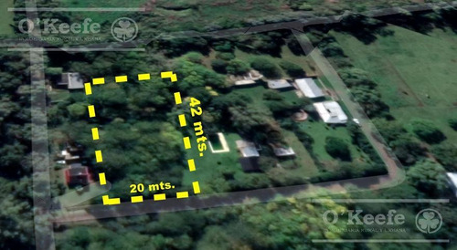 Imagen 6 de 10 de Amplio Lote De 841 M2, A Mts. De Barrio Cerrado La Arbolada