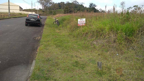 Terreno À Venda, 390 M² Por R$ 169.000,00 - Itoupava Central - Blumenau/sc - Te0276