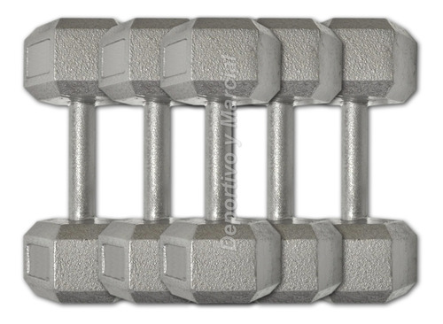Mancuerna Especial Gris Plata De Fundicion 27,5 Kg Gym Metal