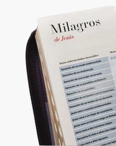 Imagen 7 de 9 de Biblia Juvenil Compacta Letra Grande 11 Pt Morado Duotono