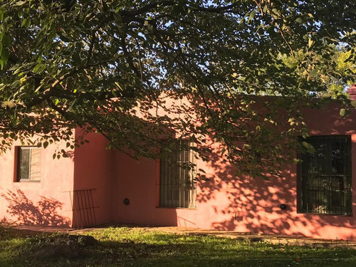 Chacra De 15 Hectáreas En Suipacha