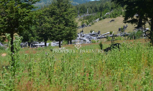 Parcelas Ecológicas En Curarrehue, Sector Panqui.