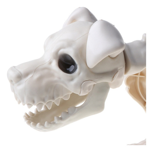 Ornamentos De Festa Temáticos De Halloween Cachorro Esquelet