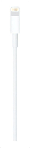 Cable De Conector Apple Lightning A Usb (1 Metro) Blanco