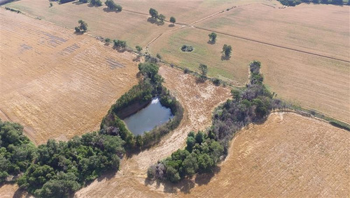 Imagen 3 de 15 de Agrícola En Venta En Ercilla