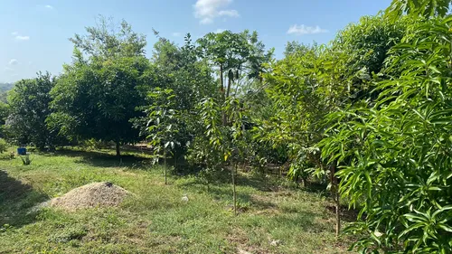 Finca En Venta En Salitral