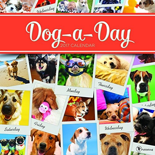 2017 Dog A Day Wall Calendar