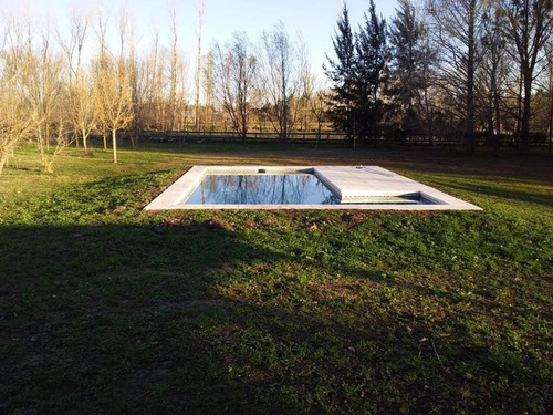 Imagen 7 de 28 de Un Paraiso Entre Caballos Bosques Y Arroyo
