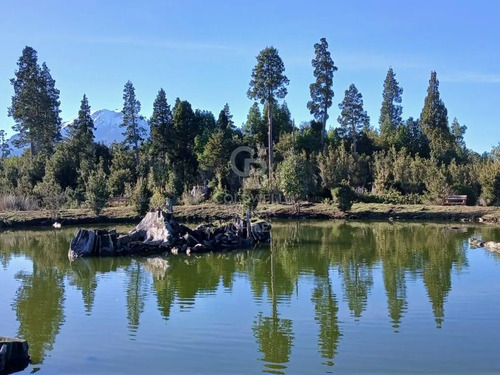 Éxito Turístico En Naturaleza: Hotel Y Cabaña 2.5ha