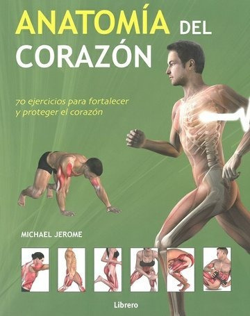 Anatomia Del Corazon- Ejercicios Para Fortalecer El Corazon