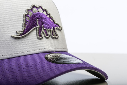 Imagen 3 de 4 de Gorra New Era Dinos Lfa 2020 9forty